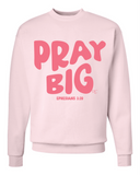 Pray Big | Pale Pink